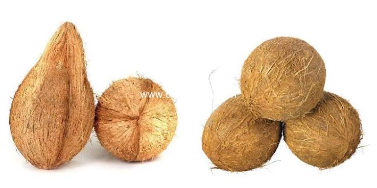 Fully Husked Coconut