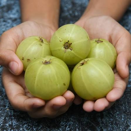 Indian Gooseberry