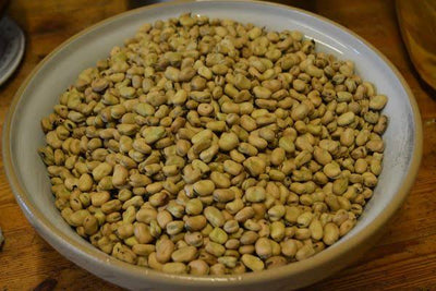 Field Beans