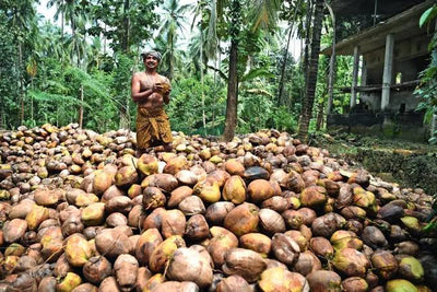 Coconut Products