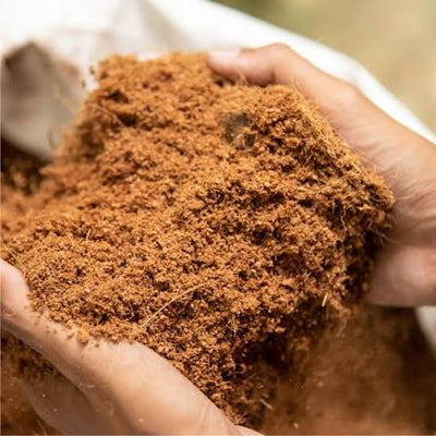 Coconut Fiber