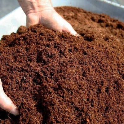 Coir Pith