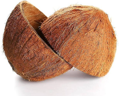 Coconut Shell