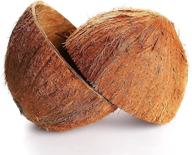 Coconut Shell