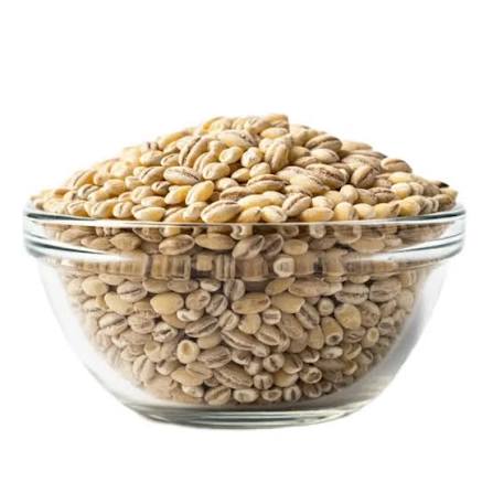 Barley