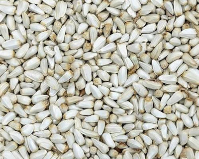 Safflower Seeds