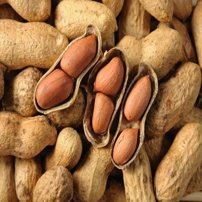 Groundnuts