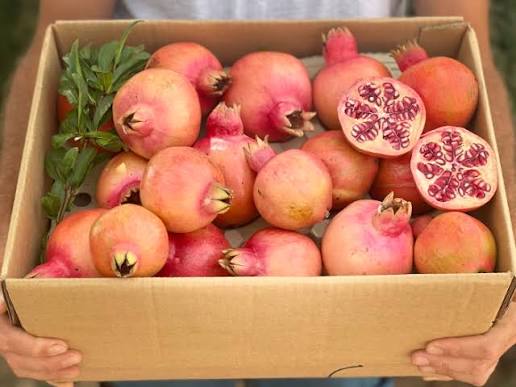 Pomegranate